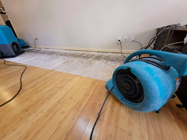 Professional Water Damage Repair technician working in Salem, AR